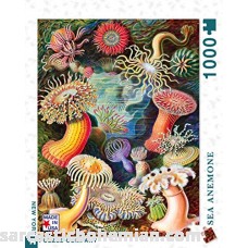 New York Puzzle Company Vintage Images Sea Anemones 1000 Piece Jigsaw Puzzle B07LCMWGJG